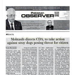 Press Clipping