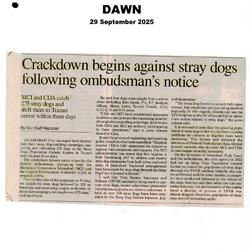 Press Clipping