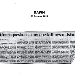 Press Clipping